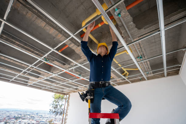 Best Local Plumber Services  in New Carlisle, IN