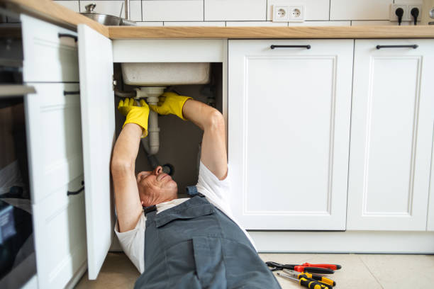 Best Plumbing Repair Near Me  in New Carlisle, IN