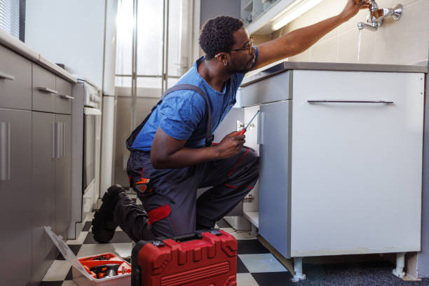 Best Commercial Plumbing Services  in New Carlisle, IN